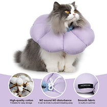 Cat recovery collar adjustable straps detail
