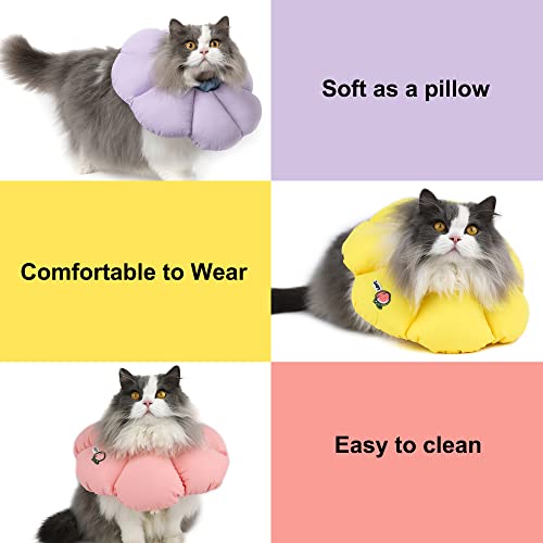 Cat recovery collar use case lifestyle photo