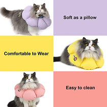Cat recovery collar use case lifestyle photo