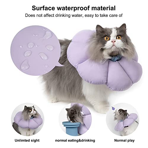 Cat wearing waterproof recovery collar