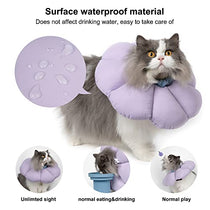 Cat wearing waterproof recovery collar