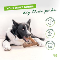 Benebone Wishbone toy durability feature