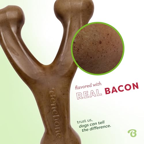 Benebone Wishbone toy size comparison chart