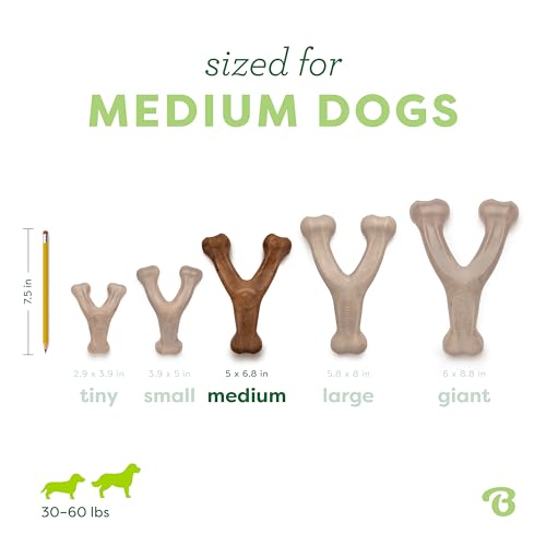 Benebone Wishbone toy real flavor infused feature