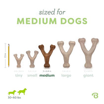Benebone Wishbone toy real flavor infused feature