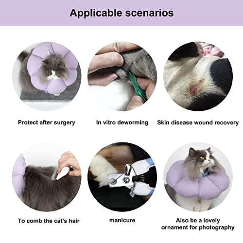 Cat recovery collar size guide chart