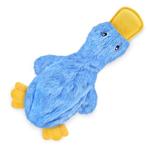 Dog playing with crinkle duck squeaky toy
