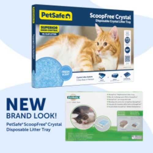 Cat using ScoopFree disposable litter tray