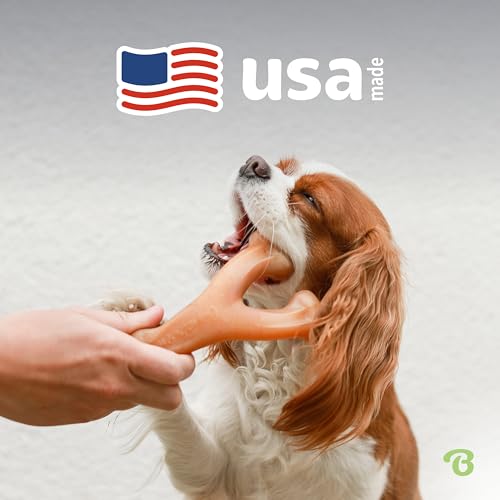 Benebone Wishbone toy made in USA feature