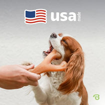 Benebone Wishbone toy made in USA feature