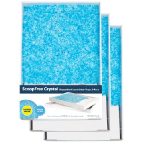 Disposable cat litter tray no scoop cleanup