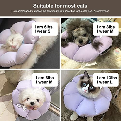 Cat recovery collar folded for storage