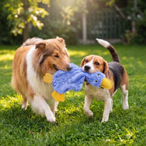 Crinkle duck toy size comparison for small medium large dogs