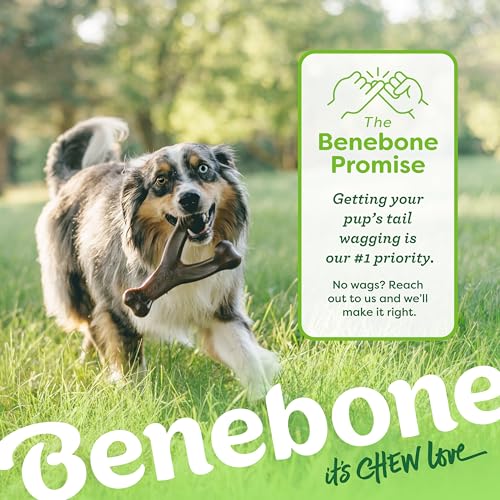 Benebone Wishbone toy flavor and size options