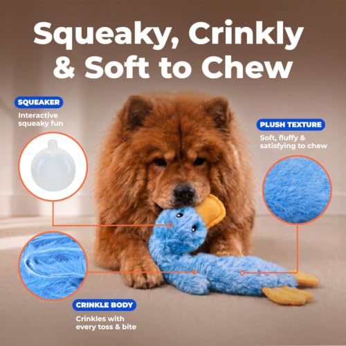 Crinkle duck toy stuffing free interior view