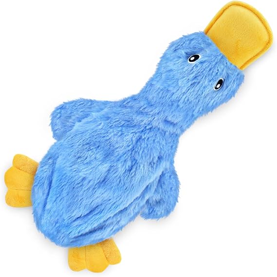 Crinkle duck squeaky dog toy, blue