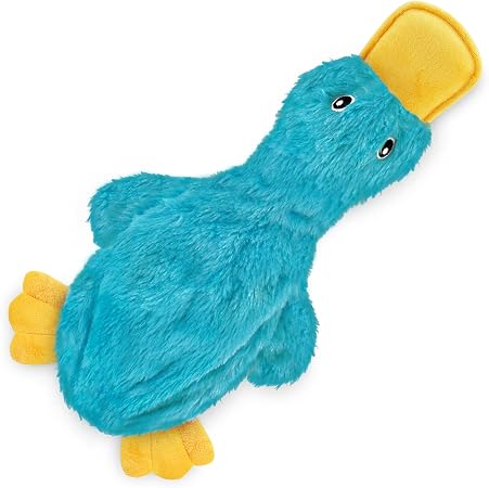 Crinkle duck squeaky dog toy, turquoise