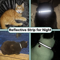 Airtag cat collar adjustable sizing
