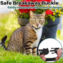 Cat wearing airtag collar outdoors