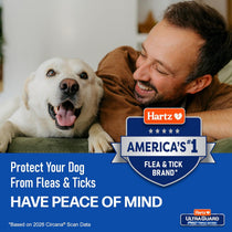 Hartz UltraGuard collar adjustable fit for puppies