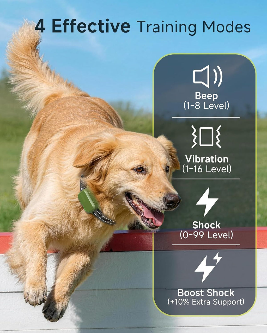 Dog training collar remote control display