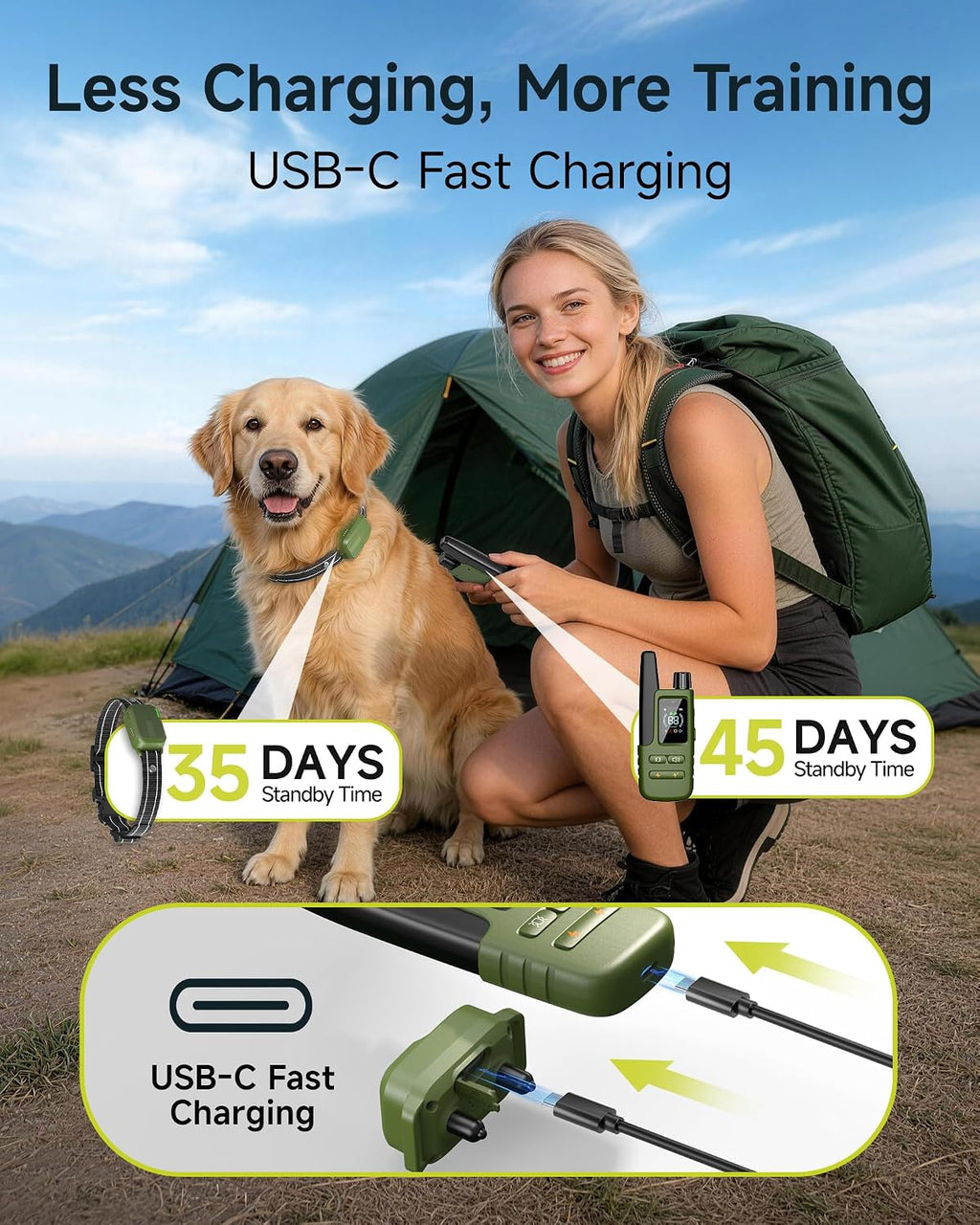 Dog wearing training collar outdoors