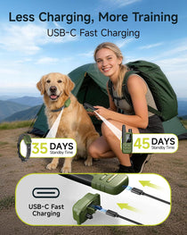 Dog wearing training collar outdoors