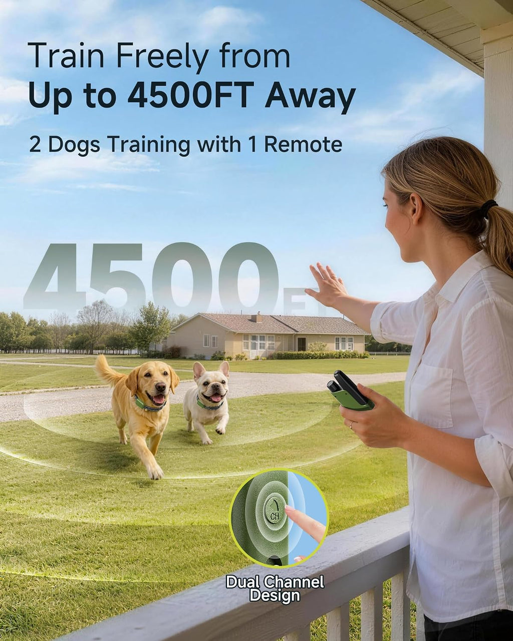 Dog training collar beep vibration shock levels