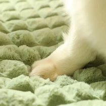 Orthopedic memory foam dog bed, image 3