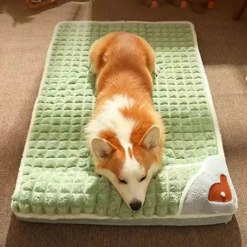 Orthopedic memory foam dog bed, image 5