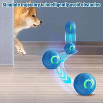 USB rechargeable interactive pet ball toy