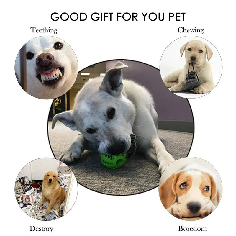 Rubber dog treat ball chew toy, image 12