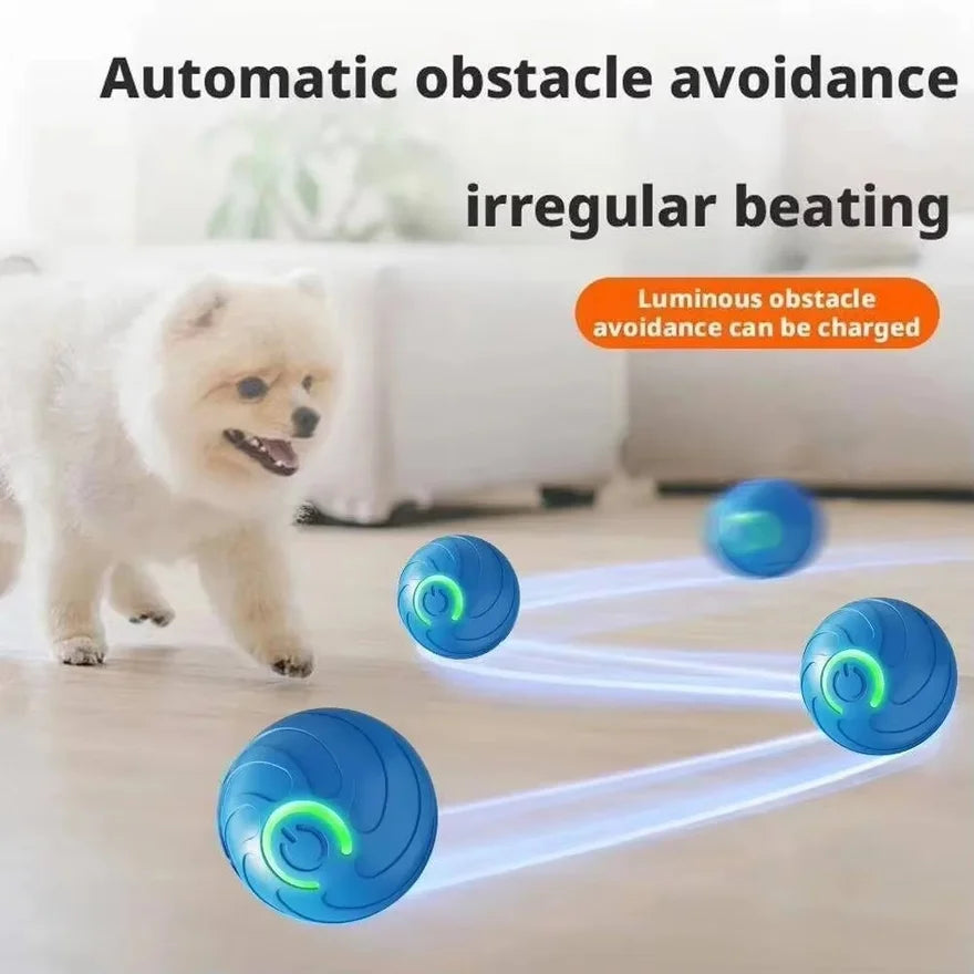 Dog playing with automatic moving ball toy