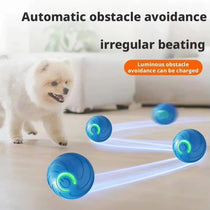 Dog playing with automatic moving ball toy