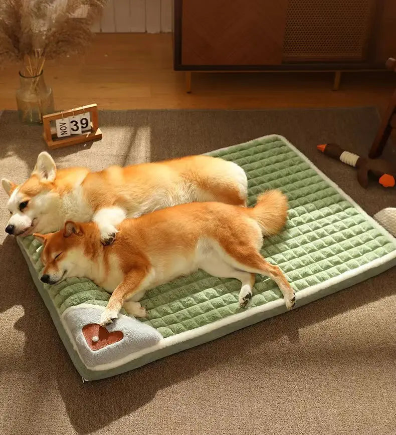 Orthopedic memory foam dog bed, image 9