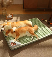 Orthopedic memory foam dog bed, image 9