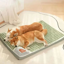 Orthopedic memory foam dog bed, image 1