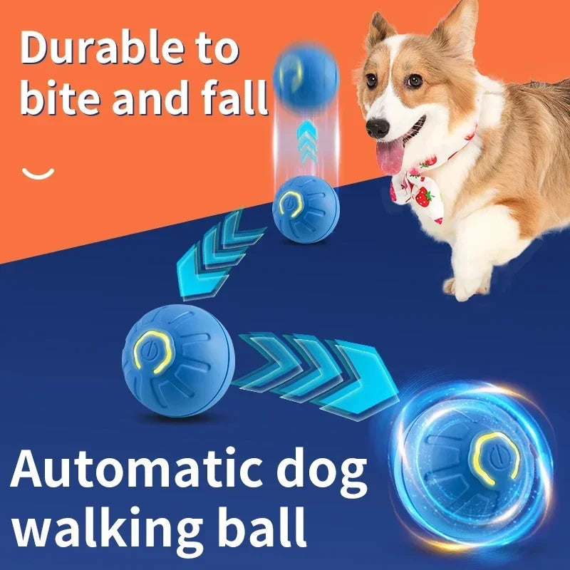 Dog playing with automatic bouncing ball toy