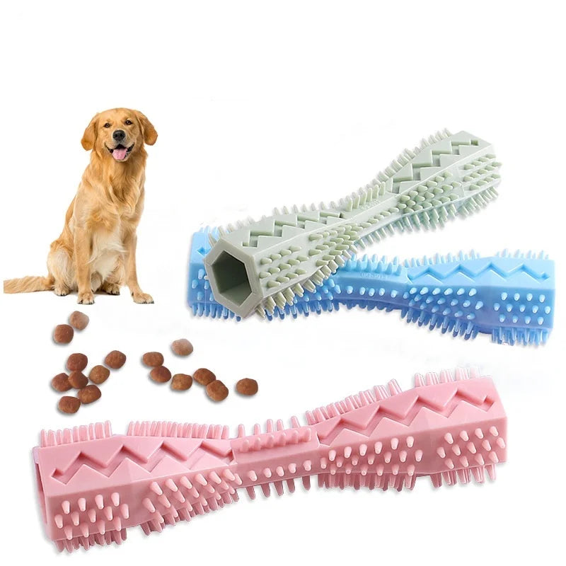 Dog chewing on leak proof teething toy