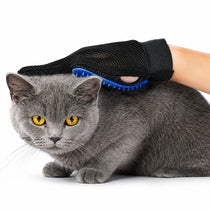 Dog being groomed with silicone hair remover glove
