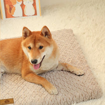3D foam orthopedic dog crate bed, image 4