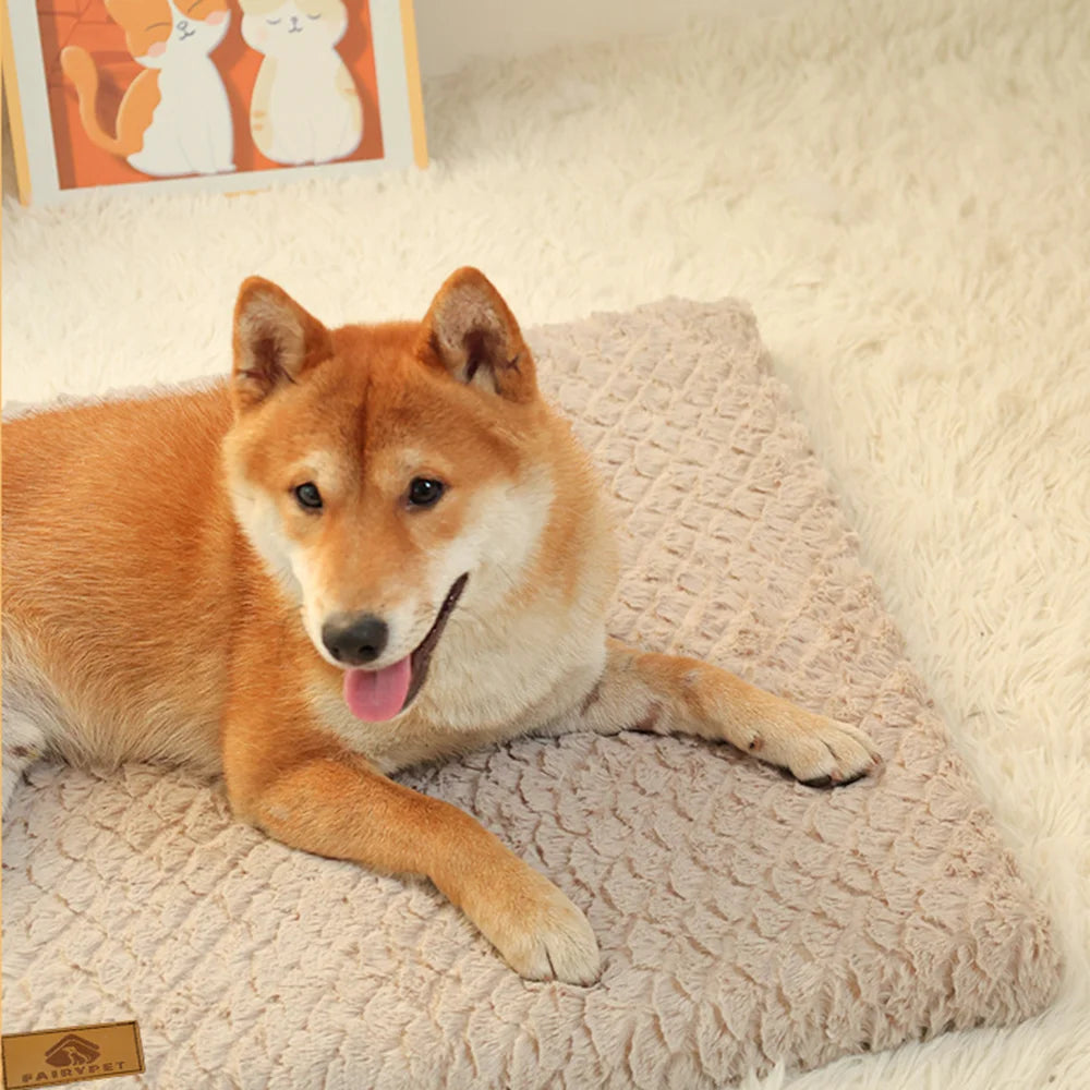 3D foam orthopedic dog crate bed, image 4