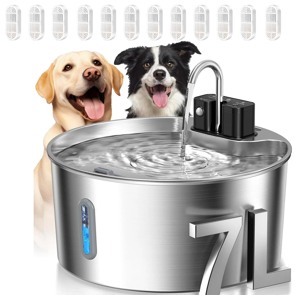 Pet water fountain with 12 filter chips