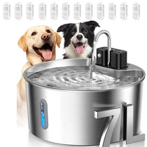 Pet water fountain with 12 filter chips