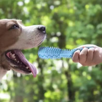 Dog teething toy filled with treats