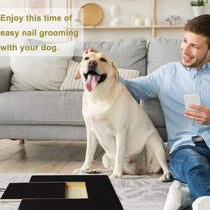 Dog using nail scratch board at home