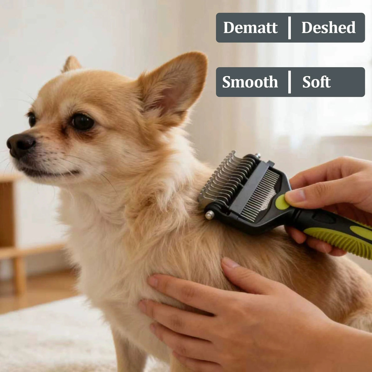 Dog being groomed with double sided pet brush