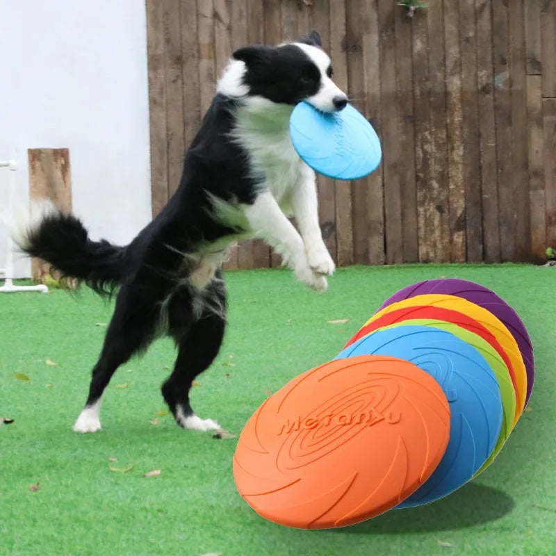 Dog jumping to catch a bite resistant flying disc dog toy outdoors