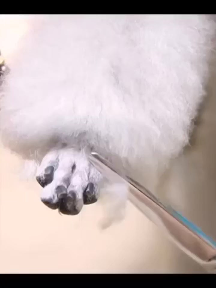 5 in 1 dog grooming scissors set demo video
