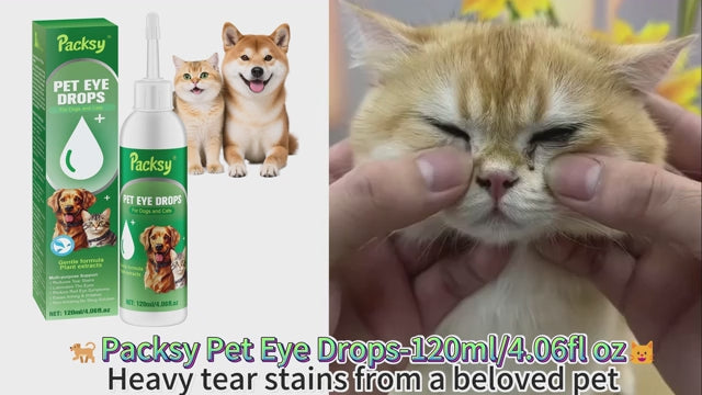 Waterproof cat recovery collar demonstration video